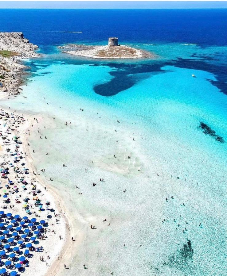 La Dolce Vita , Fronte Mare Castelsardo Dış mekan fotoğraf